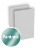 Visitenkarten hoch 5/5 farbig 50 x 90 mm mit einseitigem vollflächigem UV-Lack <br>beidseitig bedruckt (CMYK 4-farbig + 1 Pantone-Sonderfarbe)